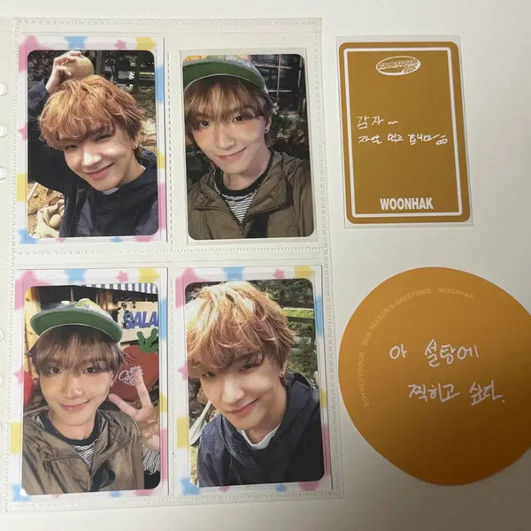[BUNJANG] BOYNEXTDOOR 2026 Season's Greetings Kim Yunhak Photocard / 보넥도 2026 시즌그리팅 김운학 포카
