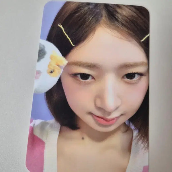 [BUNJANG] IVE Everland Photopass Entry Photocard Rei / IVE 아이브 에버랜드 포토패스 입장포카 레이