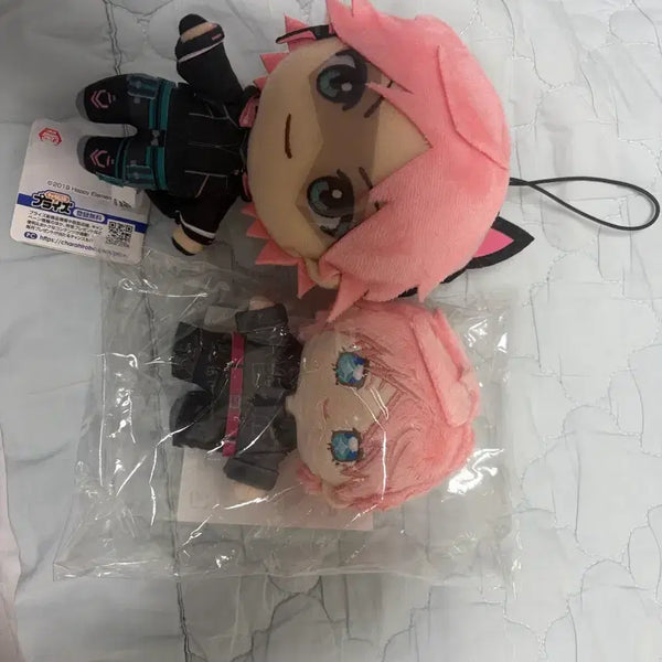 [BUNJANG] Erios Dino Albani Bundle Set / 에리오스 디노 알바니 누이 일괄