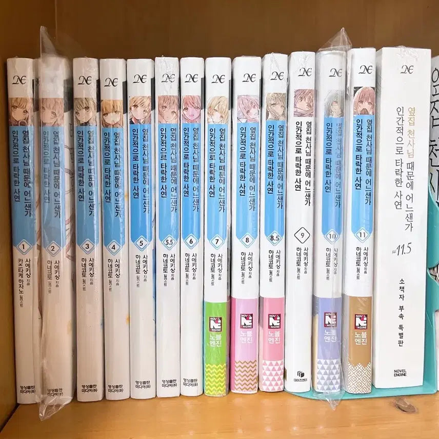 [BUNJANG] The Angel Next Door Spoils Me Rotten Light Novel Vol. 1-11.5 (Bundle Set) / 옆집 천사님 때문에 인간적으로 타락한 사연 1~11.5 판매합니다