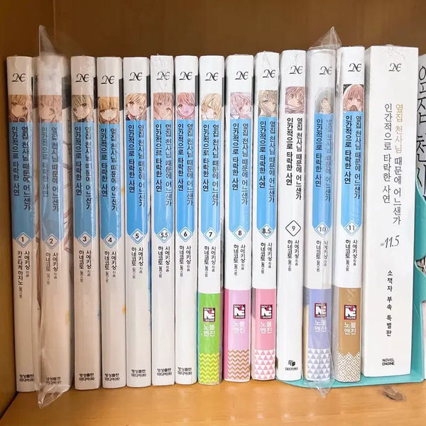 [BUNJANG] The Angel Next Door Spoils Me Rotten Light Novel Vol. 1-11.5 (Bundle Set) / 옆집 천사님 때문에 인간적으로 타락한 사연 1~11.5 판매합니다