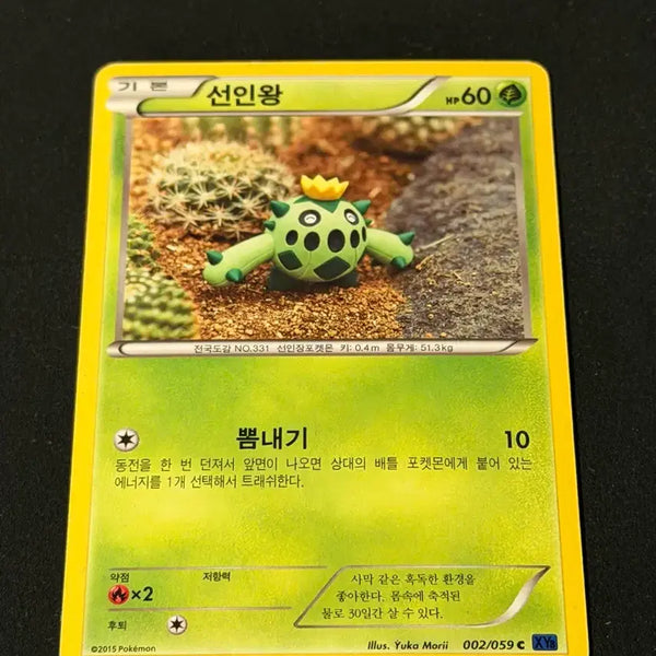 [BUNJANG] Yuka Mori Illustration Pokemon Card Cacturne / 유카모리 일러 포켓몬카드 선인왕