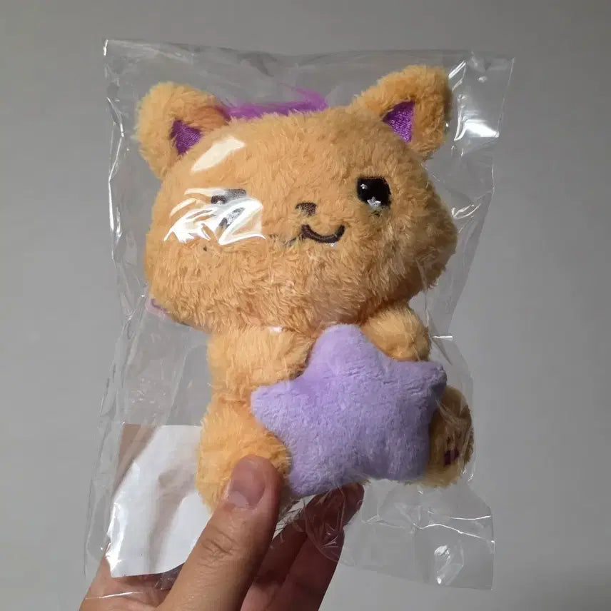 [BUNJANG] NCT WISH Sion Star Wish Doll Sealed / 시오닝 스타위시돌 미개봉 현물