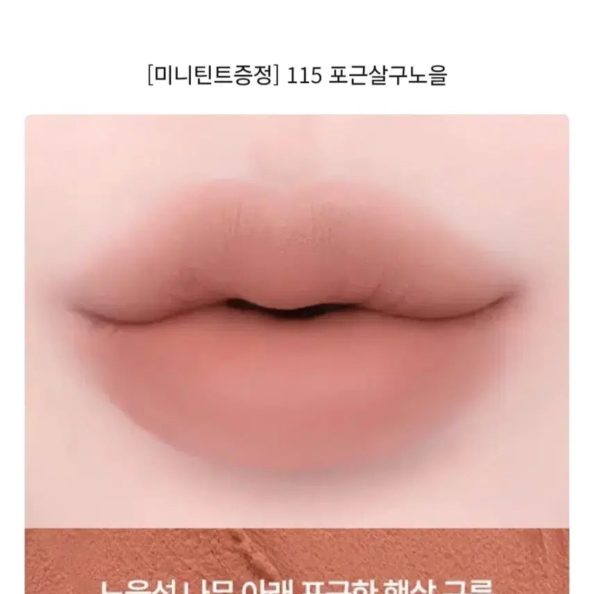 [BUNJANG] CLIO Volume Mate Tint (Shade 115: Cozy Apricot Sunset) / 클리오 볼륨메이트 틴트115포근살구노을