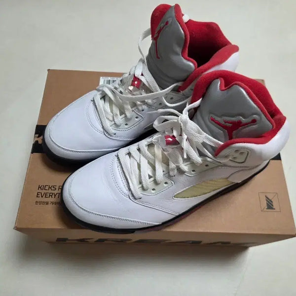 [BUNJANG] Nike Air Jordan 5 Retro Seotajeong 265 / 나이키 에어 조던 5 레트로 서태웅 265