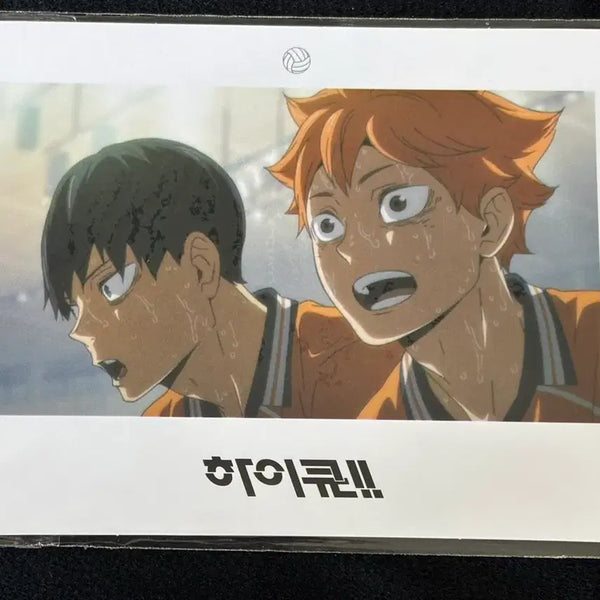 [BUNJANG] Haikyuu!! Kageyama Hinata Special Polaroid / 하이큐 카게야마 히나타 특전 폴라로이드