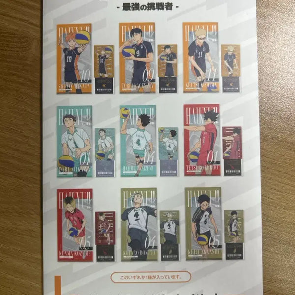 [BUNJANG] Haikyu!! Ichiban Kuji Hinata Shoyo Ticket File / 하이큐 제일복권 히나타 쇼요 티켓 굿즈