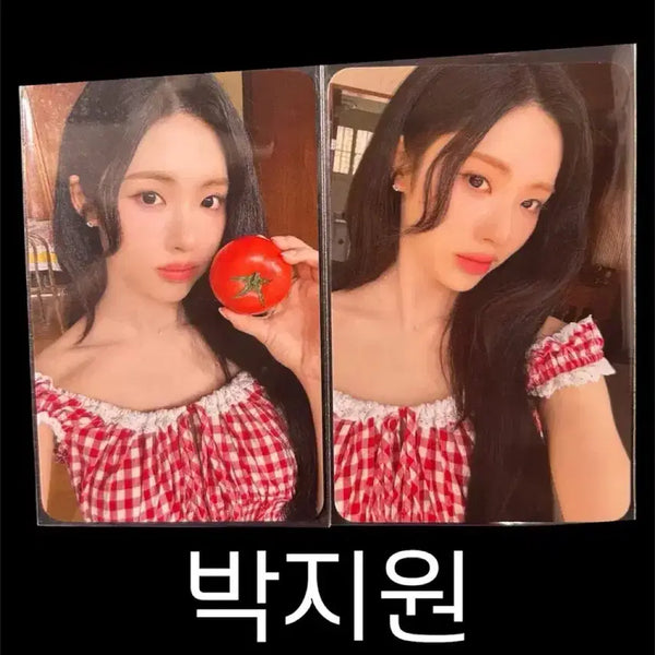 [BUNJANG] fromis_9 Jiwon Photocard Bundle / 프로미스나인 박지원 포토카드