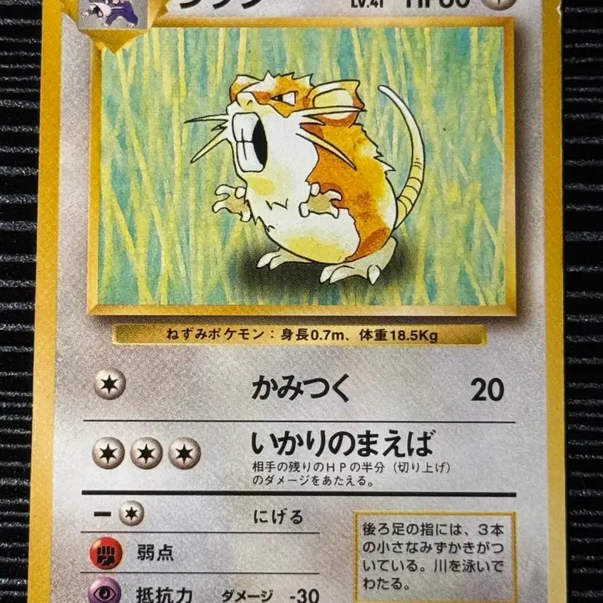 [BUNJANG] 1996 First Edition Vintage Pokemon Card - Rattata / 1996초판 포켓몬카드 빈티지 레트라