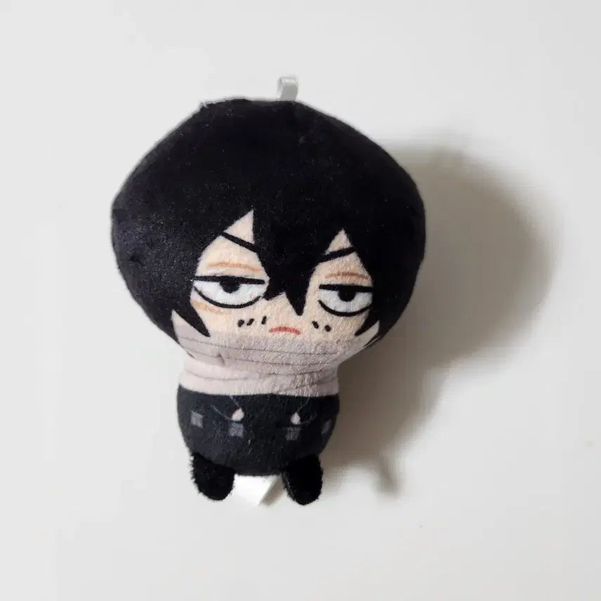 [BUNJANG] My Hero Academia Aizawa Marutto Plush Doll / 나히아 아이자와 마룻토 마루토 누이 인형