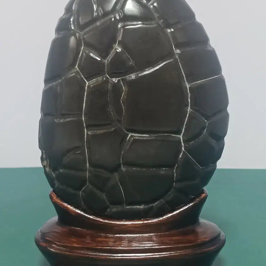 [BUNJANG] Large Chinese Suiseki (Turtle Shell Stone) / 수석(구갑석)