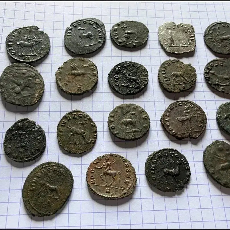 [BUNJANG] Roman Coin Collection - Gallaenus Zoo Series (19 Coins) / 로마 주화 동전 갈리에누스 급매합니다