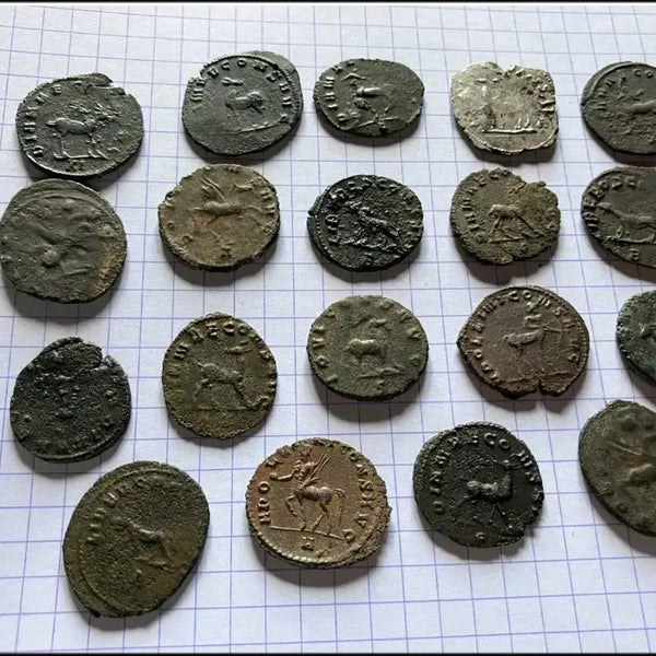[BUNJANG] Roman Coin Collection - Gallaenus Zoo Series (19 Coins) / 로마 주화 동전 갈리에누스 급매합니다
