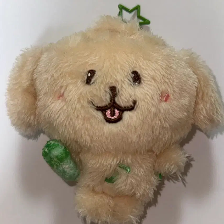 [BUNJANG] NCT WISH Dentaver Wish Doll / 엔시티 위시 댕트리버 위시돌