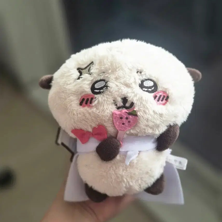 [BUNJANG] White Day Rakko Plush Toy (Authentic) / 화이트데이 랏코 인형 정품