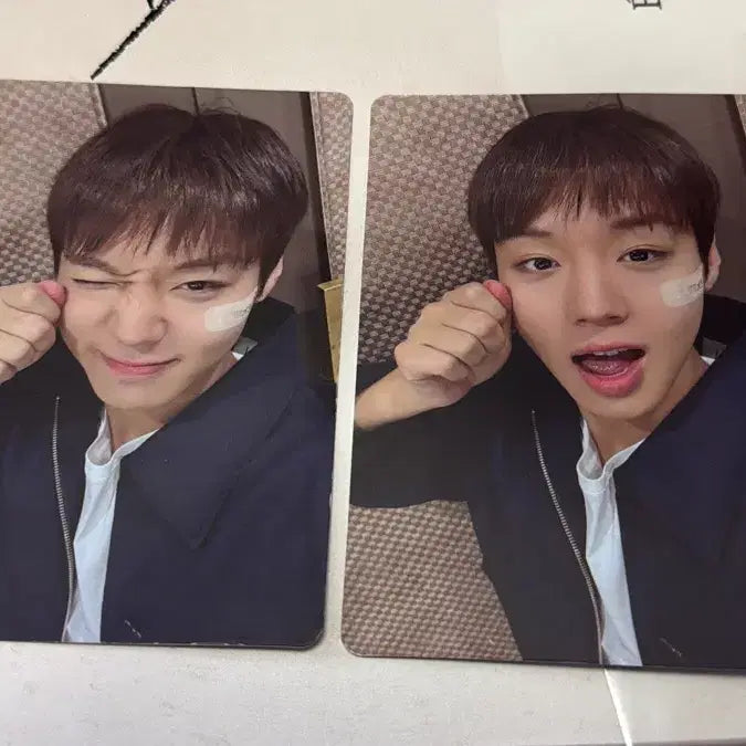 [BUNJANG] Park Jihoon Hanoi Concert Photocard Bundle Set / 일괄 박지훈 해외콘서트 포카 하노이등
