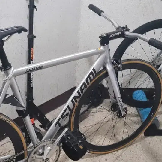 [BUNJANG] Tsunami SNM100 Bicycle Frame Silver / 쓰나미 실버 판/대