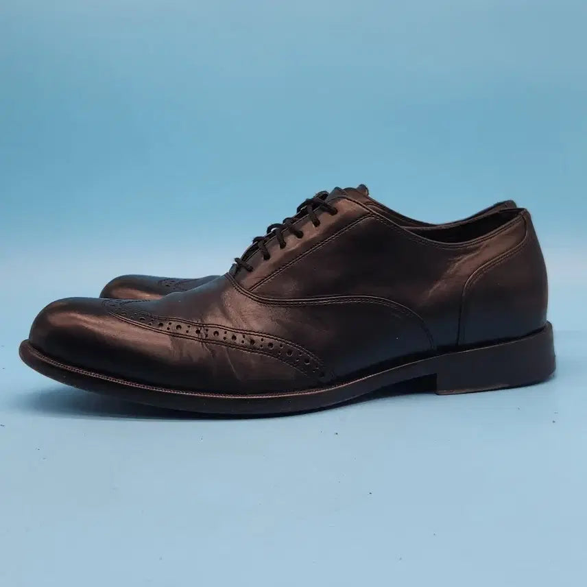 [BUNJANG] Cole Haan Wingtip Oxford Men's Shoes 265 / kk 콜한 윙팁 옥스포드 남성 구두 265