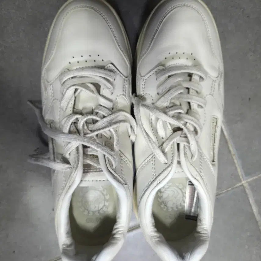 [BUNJANG] Discovery Sneakers White (Size 250) / 디스커버리 스니커즈 화이트250