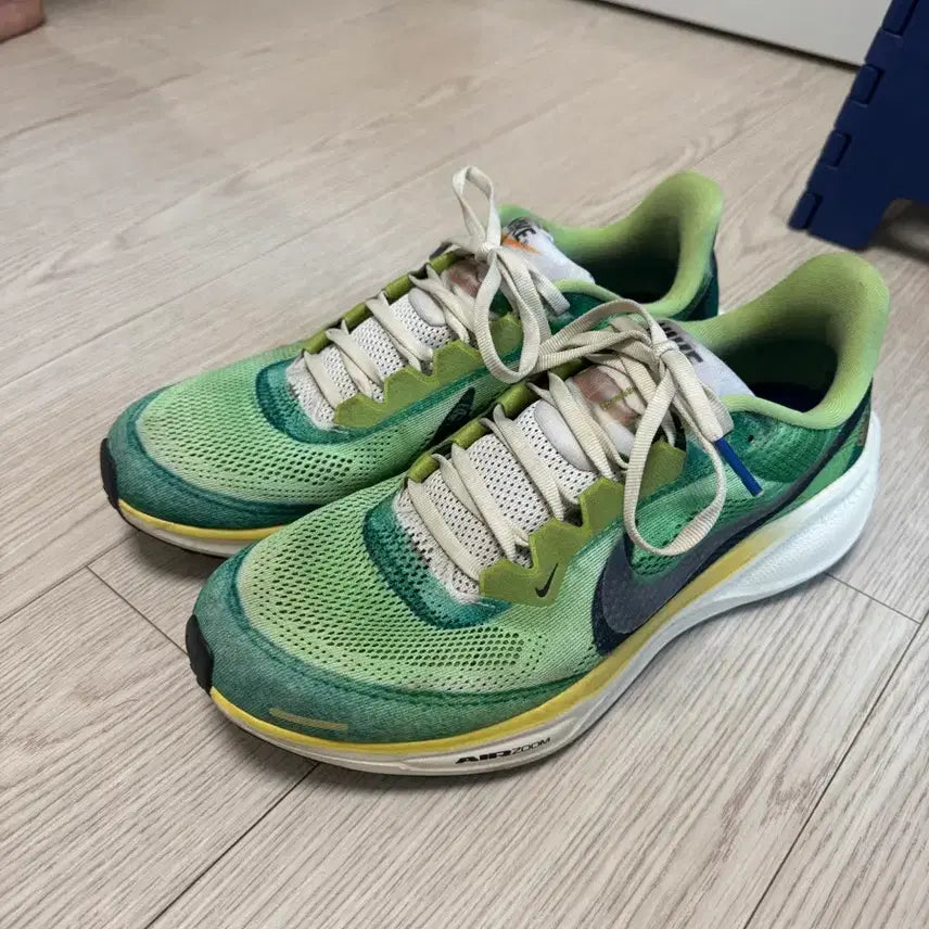 [BUNJANG] Nike Pegasus 41 International Running Pack Green US 9.5 / 나이키 페가수스41 인터네셔널 러닝팩 그린 275