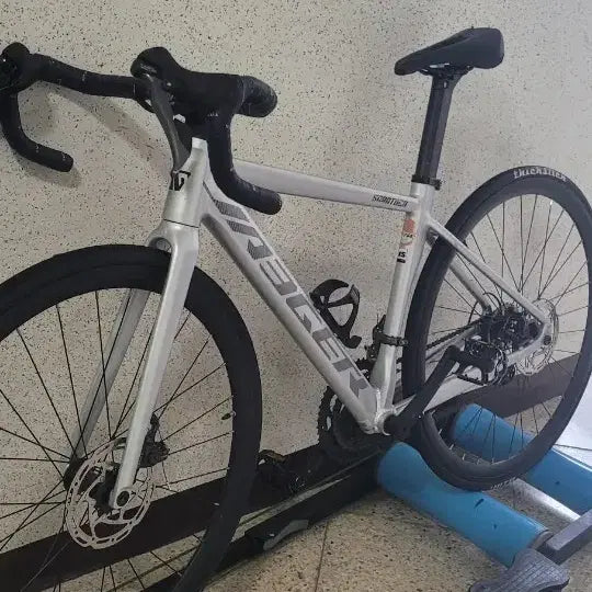 [BUNJANG] De Rosa Saratoga Road Bike / 예거 로드 판/대