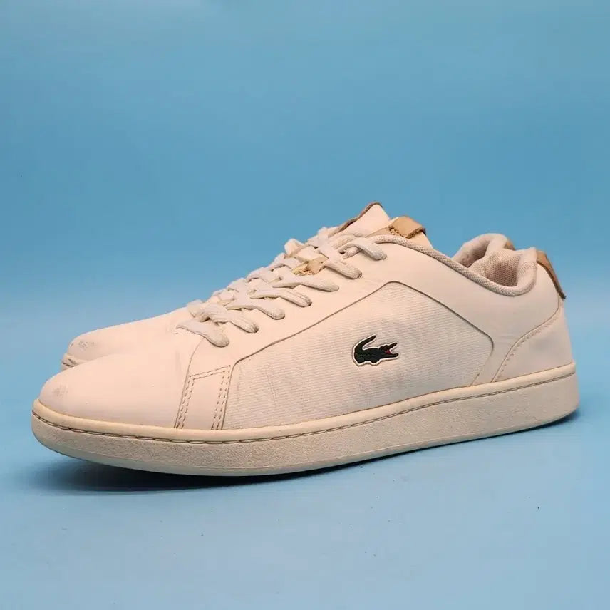 [BUNJANG] Lacoste Carnaby Evo Men's Sneakers 260 / kk 라코스텍 카나비 에버남성 스니커즈 260