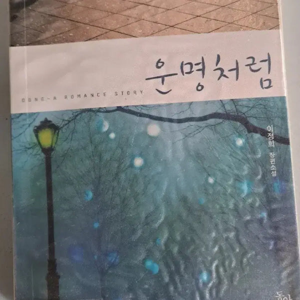 [BUNJANG] Single Volume Novel "Like Fate" / 단권 소설책 운명처럼