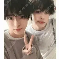 [BUNJANG] NCT-WISH Yushi Riku KuaKuaZ Unit Photocard Steady Trade Card / 최저가) 엔시티위시 유우시 리쿠 쿠우쿠우즈 유닛포카 스테디 트레카 양도