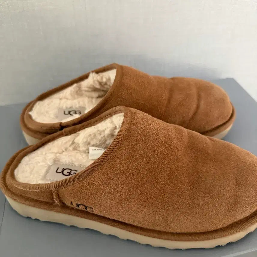 [BUNJANG] Ugg Classic Slip-On M Chestnut / 어그 클래식 슬립온 M - 체스넛 / 1129290CHE 250
