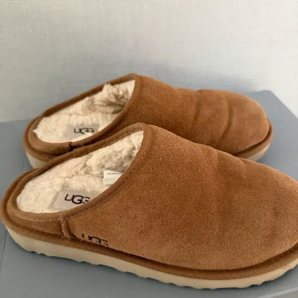[BUNJANG] Ugg Classic Slip-On M Chestnut / 어그 클래식 슬립온 M - 체스넛 / 1129290CHE 250