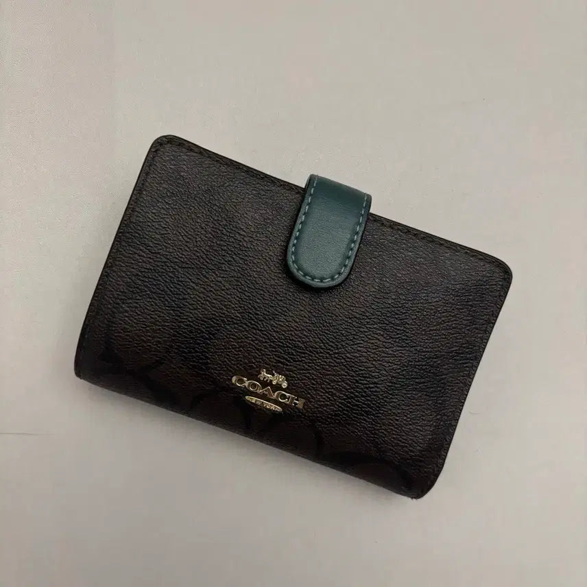 [BUNJANG] Coach Medium Corner Zip Wallet Sage Green / 코치 지갑 미디움 코너 짚 월렛 세이지 그린 색상 여성 반지갑