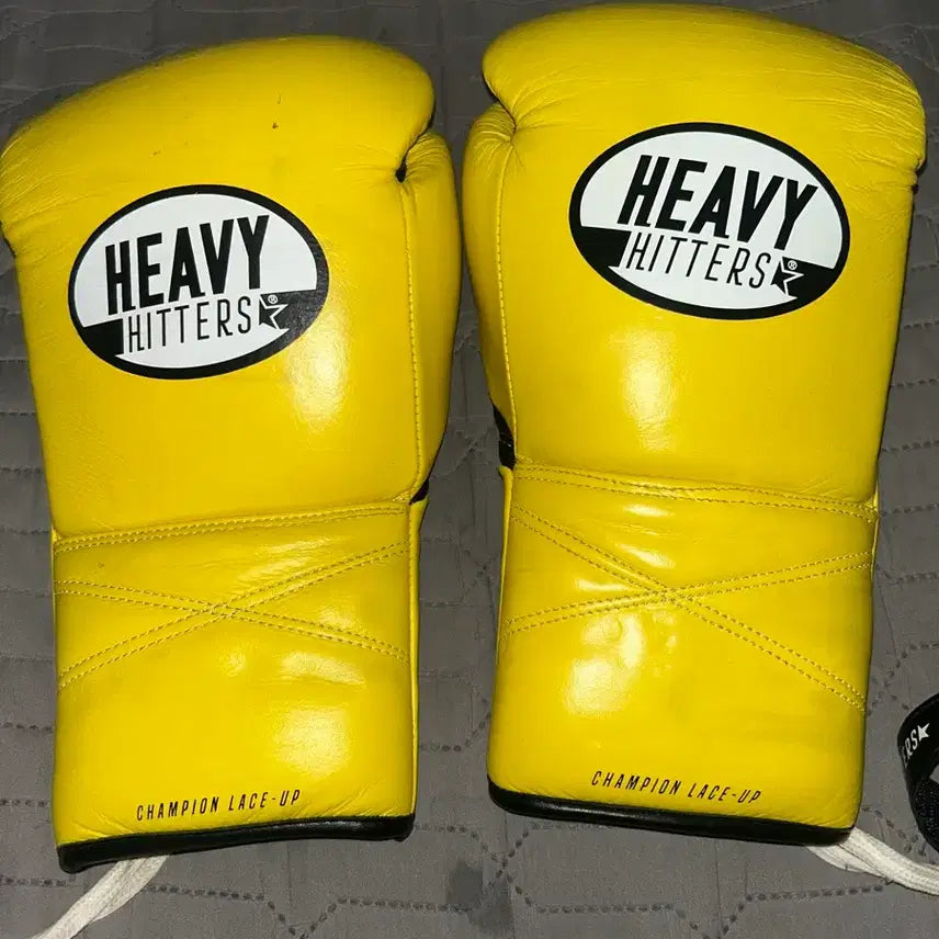 [BUNJANG] Heavy Hitters Boxing Gloves 14oz H6 / 헤비히터스 복싱 글러브 14oz h6