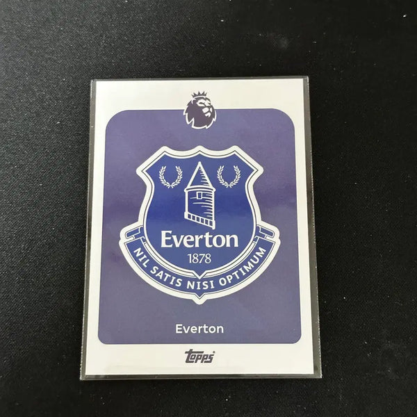 [BUNJANG] Everton Tops Everton Logo Card / [에버튼] 탑스 에버튼 로고