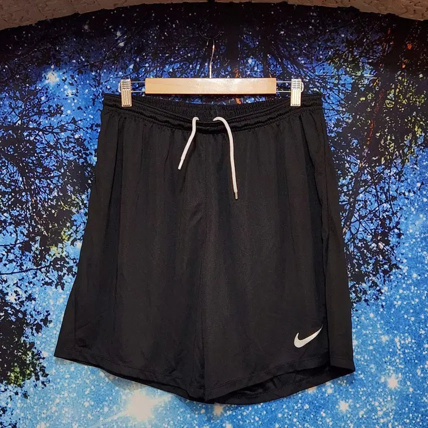 [BUNJANG] Nike Dri-FIT Park 3 Shorts Pants (XXL) / [NIKE] 남성 나이키 드라이핏 파크3 쇼츠 팬츠 XXL