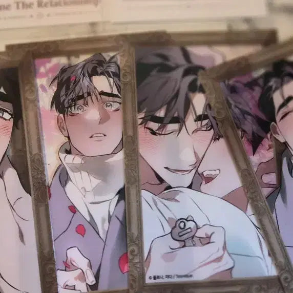 [BUNJANG] Toonique DTR Lucky Draw Photocard Bundle Set / 투니크 디티알 DTR 럭드2장+ 포카4장 일괄