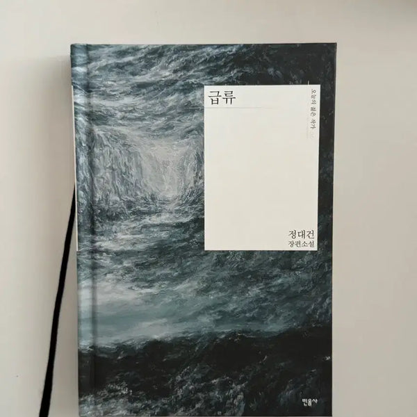 [BUNJANG] Rapid Current Novel / 급류 책 판매 소설