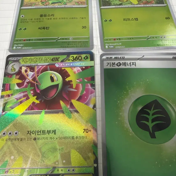 [BUNJANG] Chikorita Meganium Promo Set / 프로모 치코리타 메가니움 세트