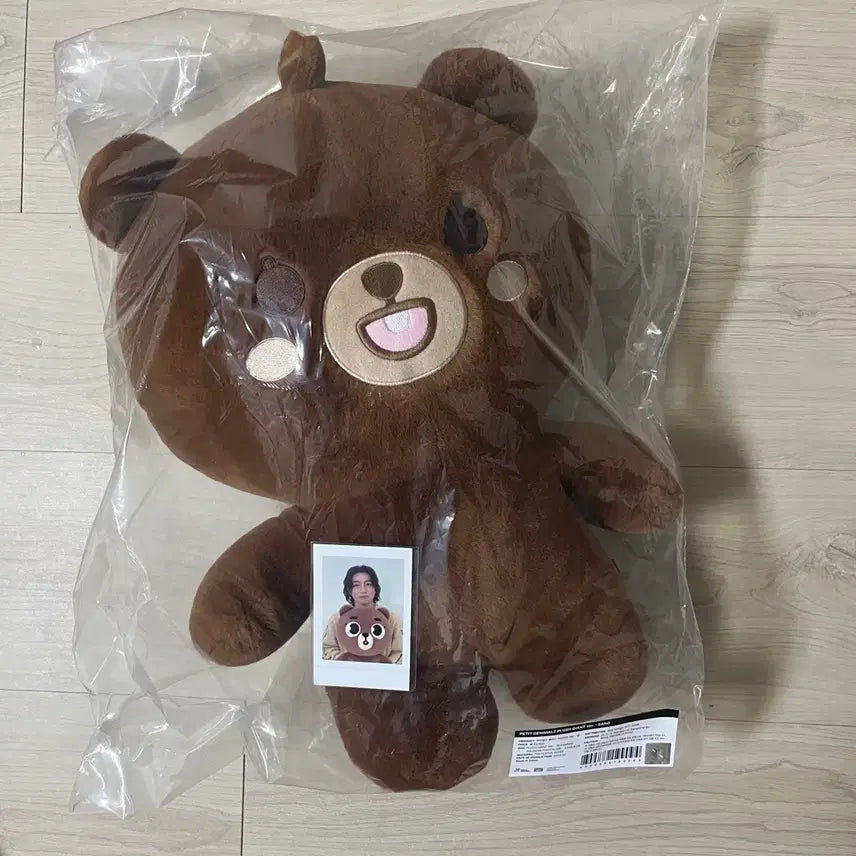 [BUNJANG] Day6 Giant Petit Merz Bang & Jademal Polar Bundle Set / 데이식스 자쁘멀 방+자데멀 폴라 일괄판매