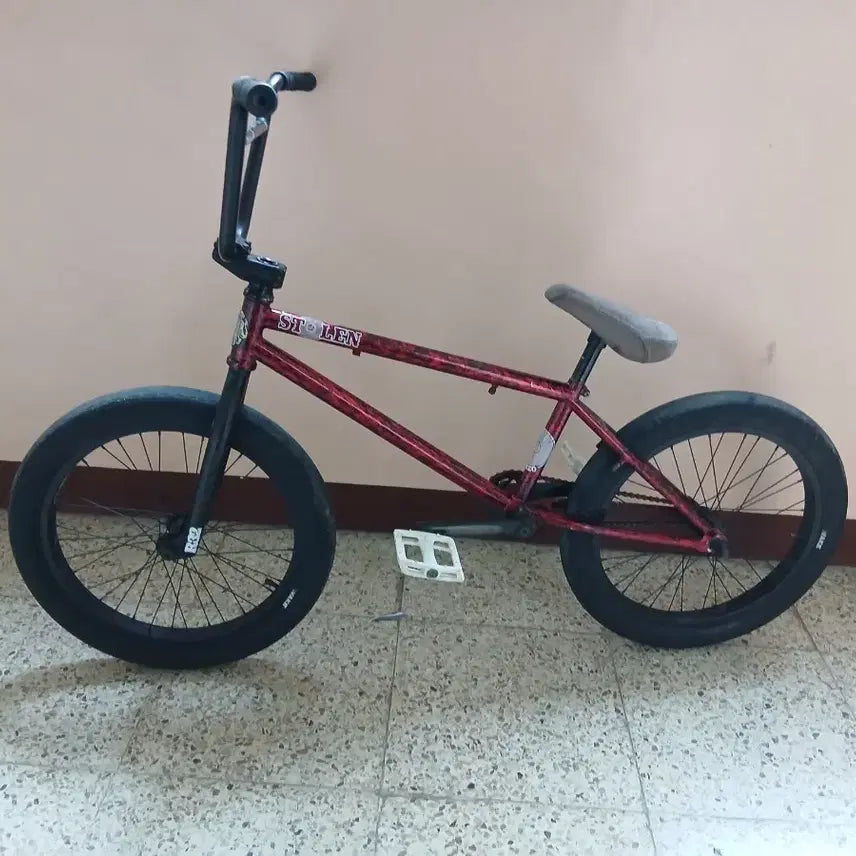 [BUNJANG] Stolen BMX Frame (with Crank) / bmx 프레임(크랭크 포함) 판매