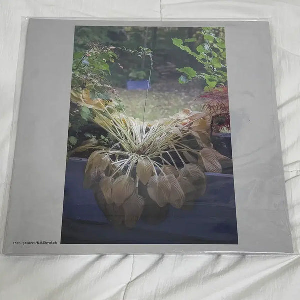 [BUNJANG] Hyukoh Love LP / 혁오 사랑으로 lp 판매