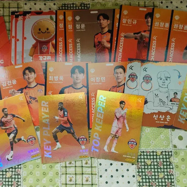 [BUNJANG] 2026 K League Panini Jeju United Bundle Set (24 Cards) / 2026 k리그 파니니 제주sk 일괄 24장