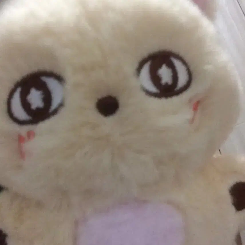 [BUNJANG] Seoshim Doll Photocard Bundle Set / 소심이 팔아여