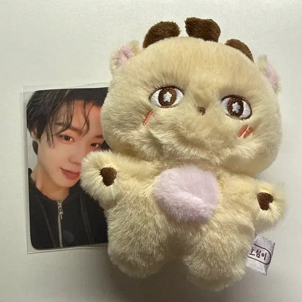 [BUNJANG] Park Ji Hoon Official Doll Photocard / 소심이 박지훈 공식 인형 포카