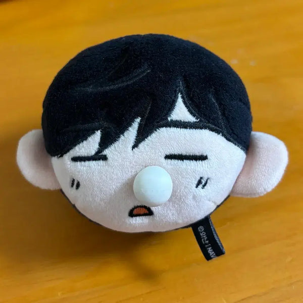 [BUNJANG] Haesoo "No Home" Plush Keyring / 네웹 집이없어 해준 인형 키링