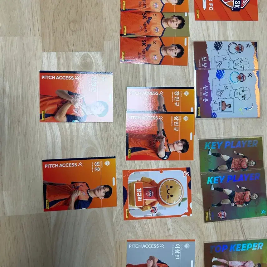 [BUNJANG] Jeju Panini Card Bundle Set / 2026 제주 파니니카드 일괄