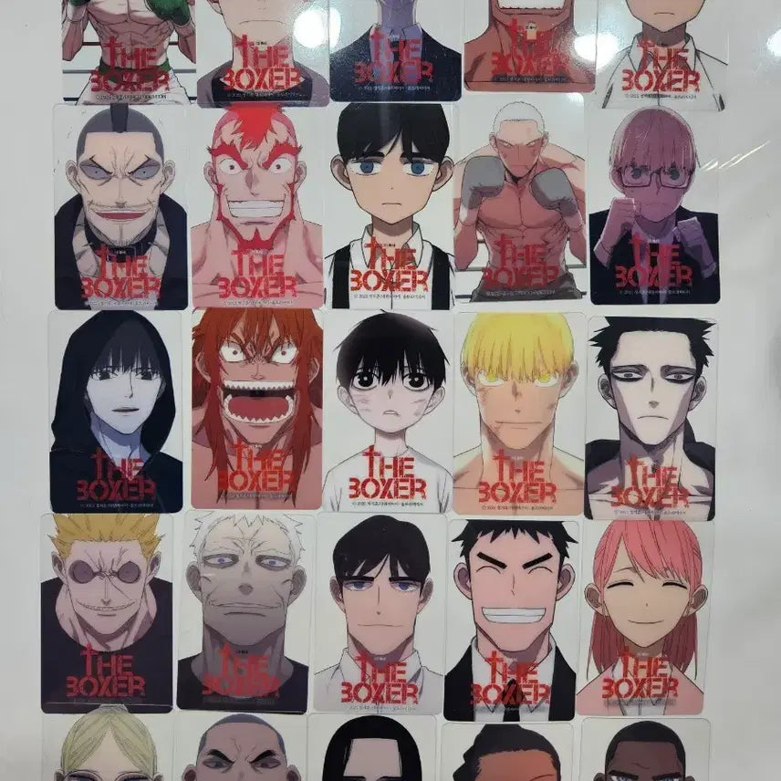 [BUNJANG] The Boxer Webtoon Character Card Set (25 Types) / 웹툰 더복서 캐릭터 카드 25종