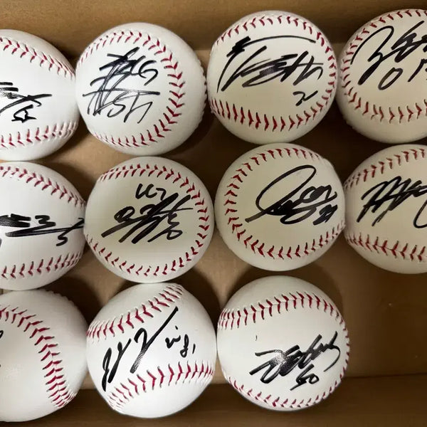 [BUNJANG] LG Twins Autographed Baseball / 엘지트윈스 친필 싸인볼