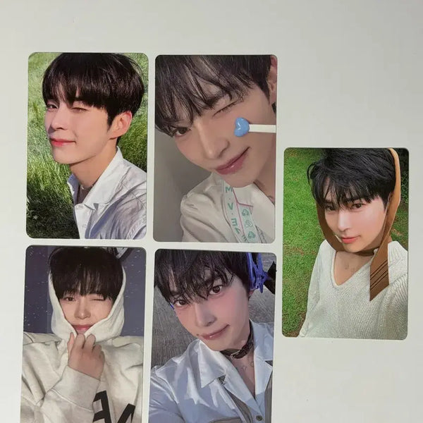 [BUNJANG] ZB1 Sung Han Bin Photocard Bundle Set / 제로배이스원 제베원 성한빈 포카 일괄