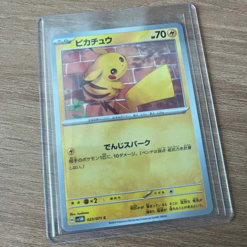 [BUNJANG] Pokemon Card / 포켓몬스터 카드