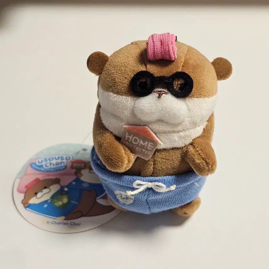 [BUNJANG] Woosoo Woosoo Home Protector Doll Keychain / [인형 키링] 우소우소 홈프로텍터 인형 키링 판매합니다.